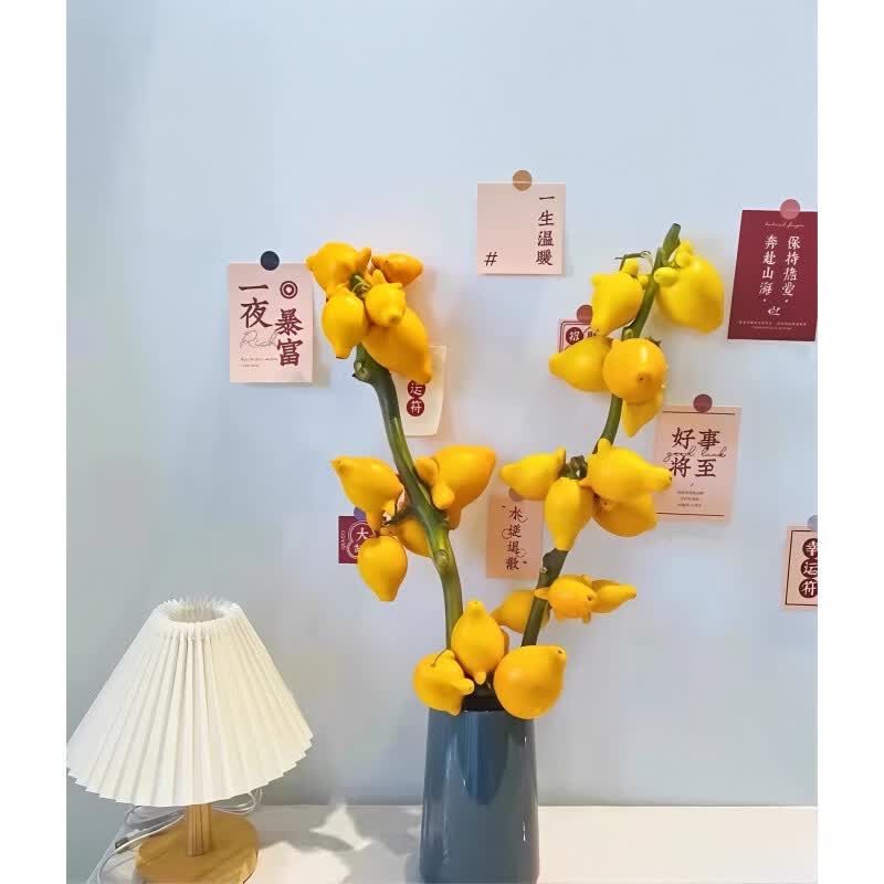 SIXSKY旺宅五代同堂果黄金果鲜切枝水培植物鲜花室内感绿植插花 【五代果 仙女】50-60cm 1枝