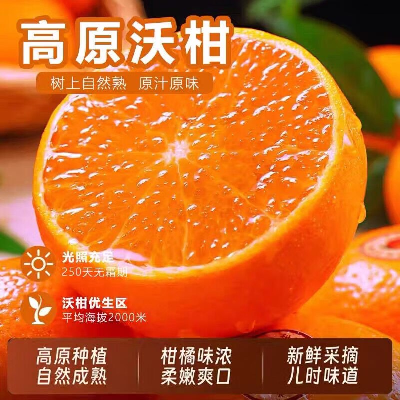 ����ͷ���ָ� �����и���ͯˮ�� 9��ͷ�� ����60mm+ ����8.5�� 19.9Ԫ����ɱ�������룩