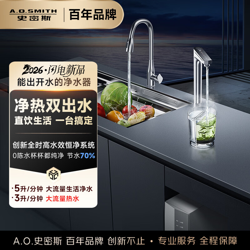 史密斯（A.O.SMITH）【净热双出水】家用净水器加热直饮一体厨房专用台下用即热饮水机DR2500SWi升级款【DR2500DWAi2】 全时高水效恒净净水器