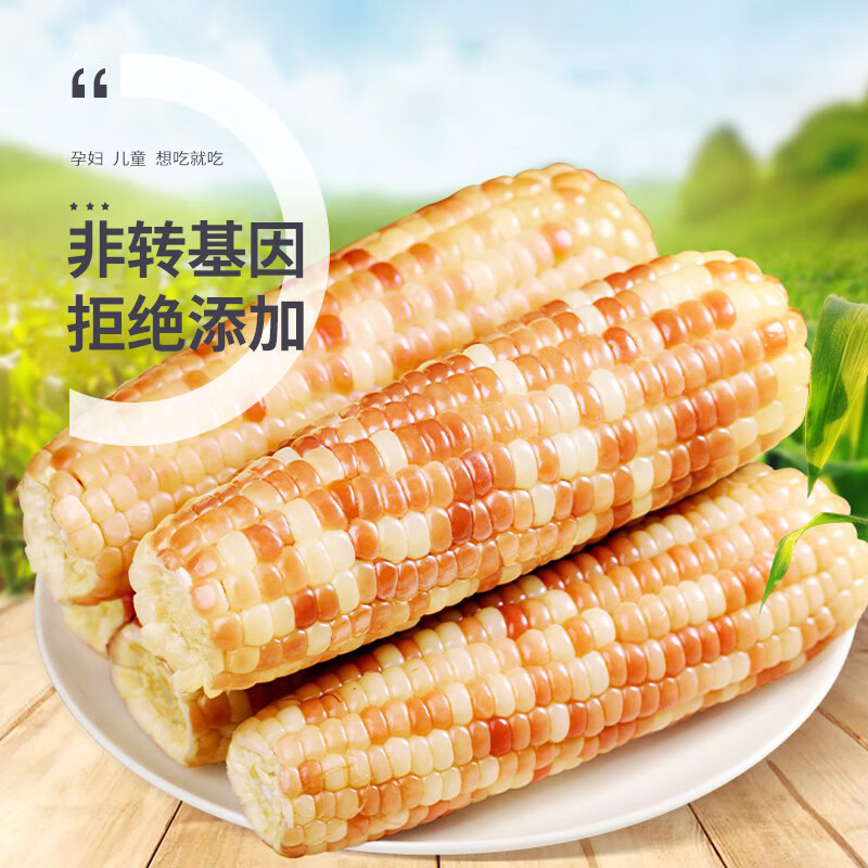 珍谷诱惑25年东北糯玉米新玉米黄糯玉米棒早餐玉米粗粮代餐零食 花糯玉米10支 2.4kg