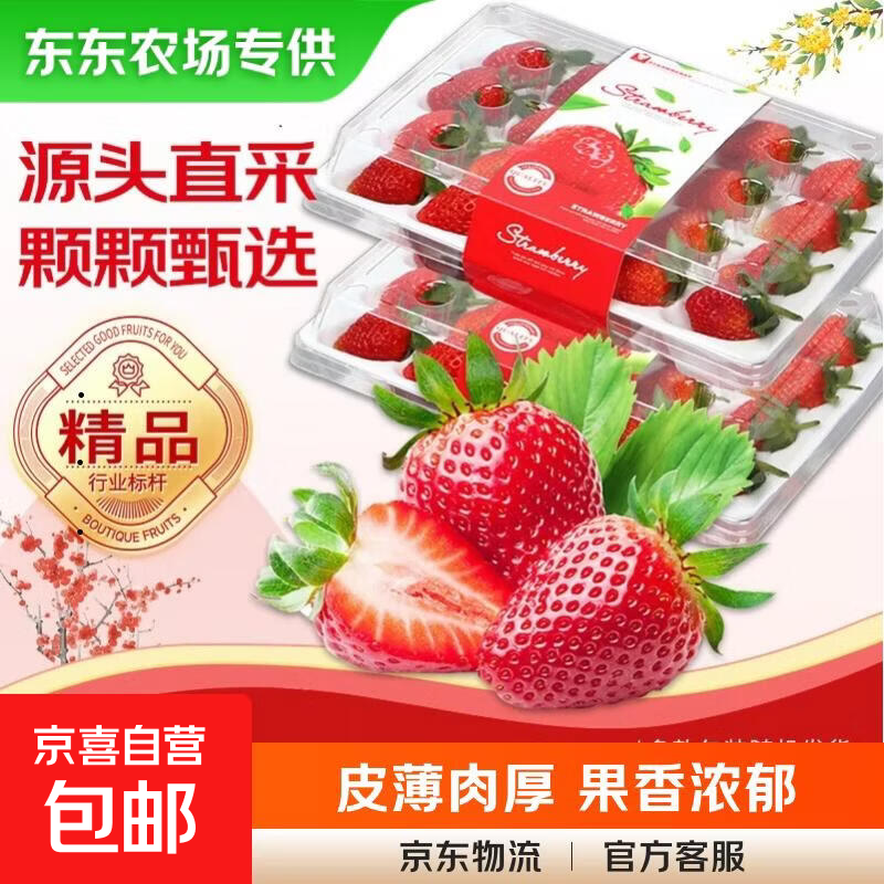 �������ͺ���99��ݮ 4��װ ����200g-300g ����12g+ ��ժ�ַ���ũ�� 19.9Ԫ