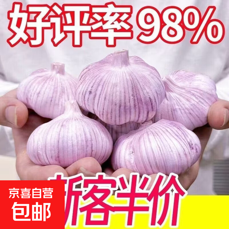 【太便宜】新干蒜4.5cm大蒜头干蒜山东大蒜批发价新干蒜皮大蒜 【精品大蒜4.5公分】6头