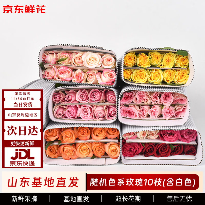 京东鲜花玫瑰花随机10枝鲜切花礼品花新年花年宵花基地现采现发源头直发