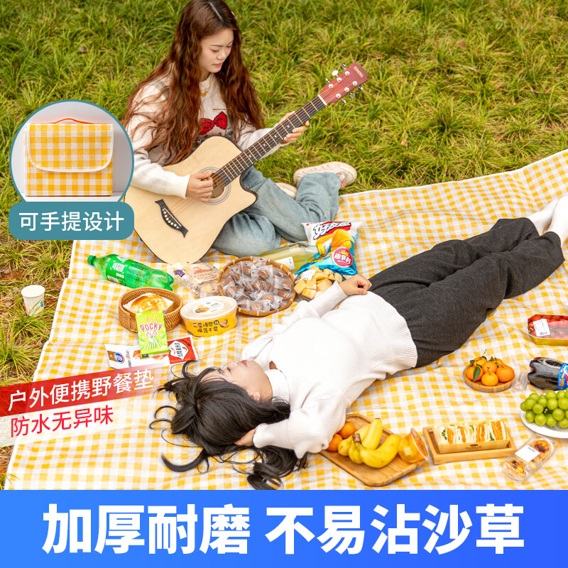 波溜紫婴童野餐垫防潮垫加厚户外露营野餐装备防水便携春游郊游可折叠布 红色(2*2m)-1个装