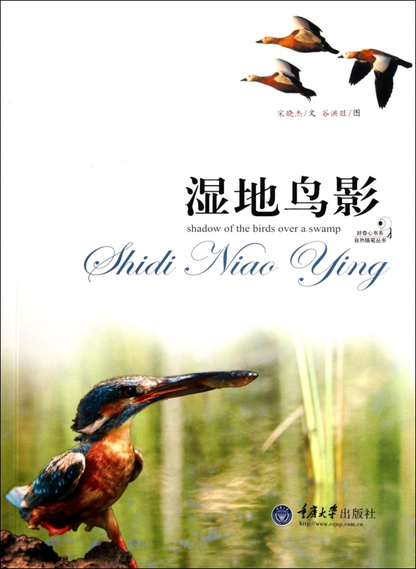 湿地鸟影/自然随笔丛书/好奇心书系