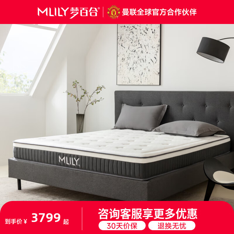梦百合【DR专属】星级酒店同款记忆棉独袋弹簧床垫护脊 星光 酒店同款 适中偏硬22cm 180*200cm
