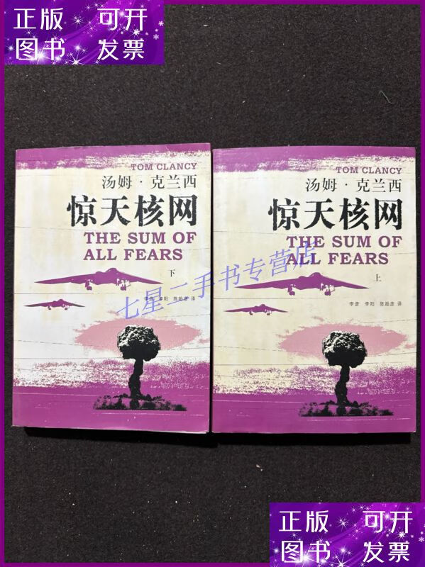 【二手9成新】惊天核网(上下册)