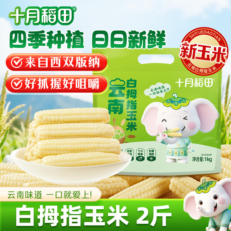 十月稻田 白拇指玉米 2斤(14~22根) 手指小玉米 真空 儿童早餐 西双版纳