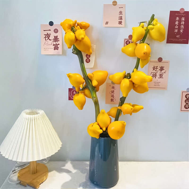 五代同堂果黄金果鲜切枝水培植物鲜花插花室内感绿植 【五代果 仙女】50-60cm 1枝