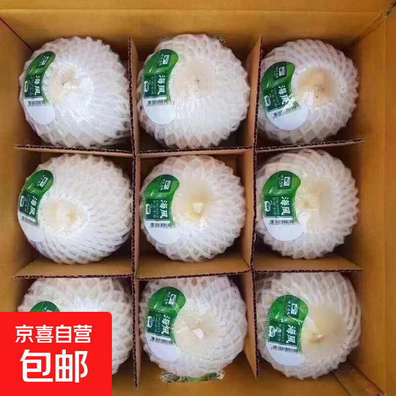 【水果码头】泰国进口香水椰天然椰子椰青大果年货送礼 单果900g+ 泰国进口椰青1粒装（无开椰器吸管）