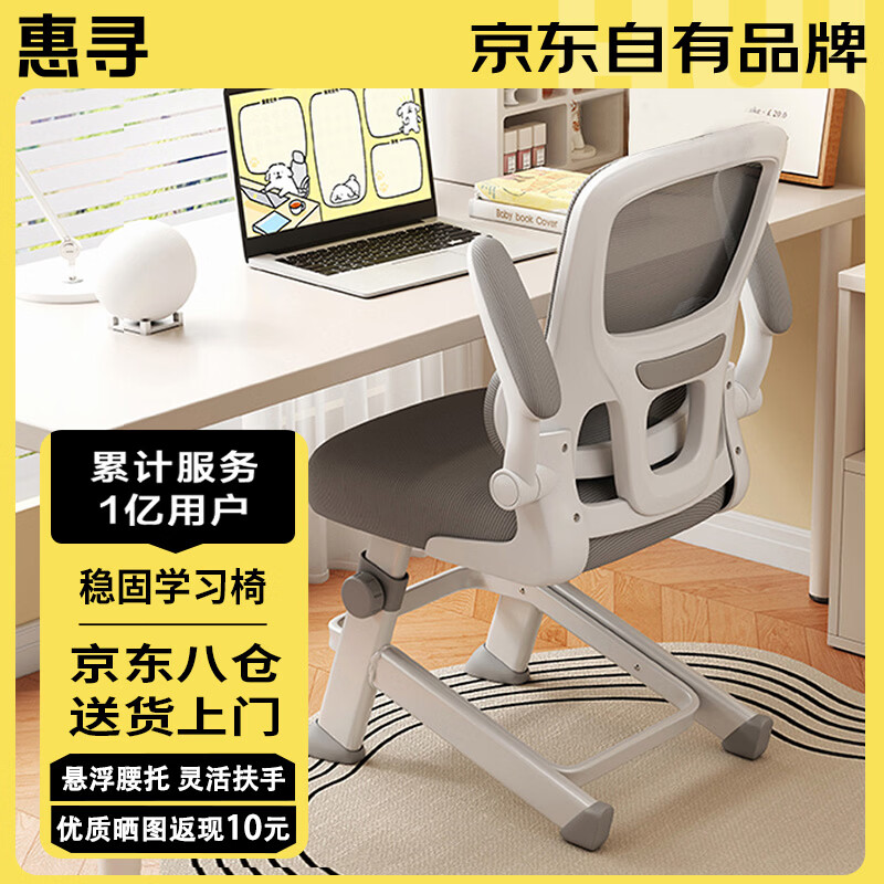 惠寻 京东自有品牌电脑椅学习椅工学座椅升降办公椅书桌椅靠背椅子 典雅灰【悬浮腰托+升降调节】