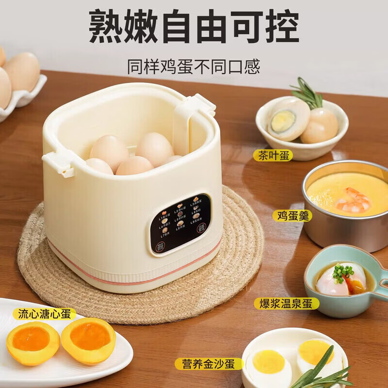 RASW德国煮蛋器蒸蛋器家用小型煮蛋煮粥神器预约多功能早餐机溏心蛋保温全自动烹饪免看管家用煮蛋神器 双层 【旗舰款】赠不锈钢蒸蛋架和蒸蛋盘