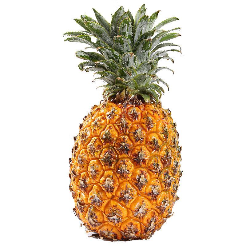 元珍鲜诚 源头直采海南黑钻凤梨当季新鲜水果菠萝源头采摘 含箱5斤净重4.5斤优选果（2-4个）