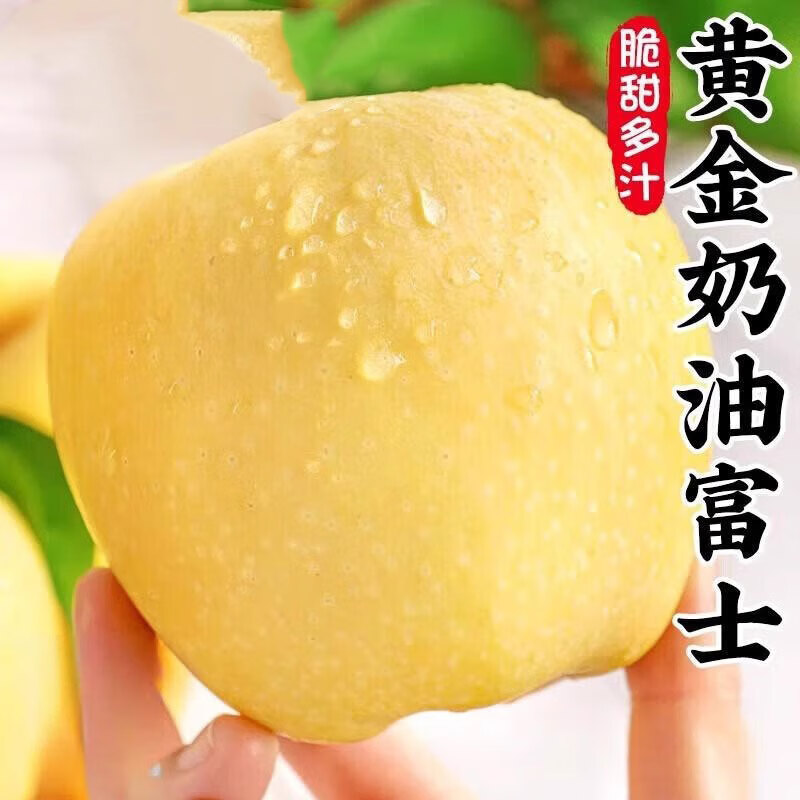 琪江果山东烟台奶油富士苹果 栖霞黄苹果当季新鲜水果整箱 奶油苹果净重4.5斤单果80mm+大果