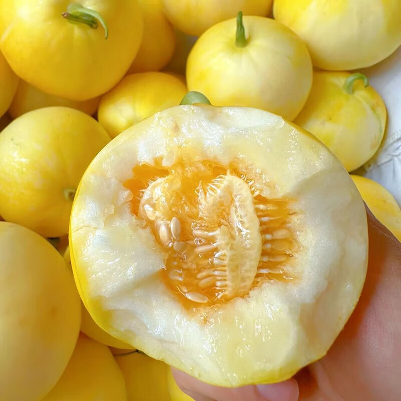 正宗山东头茬小蜜蜂甜瓜星甜20新鲜水果当季现摘蜜罐甜瓜顺丰包邮 净重4.5斤【5-7个】手选精品大果