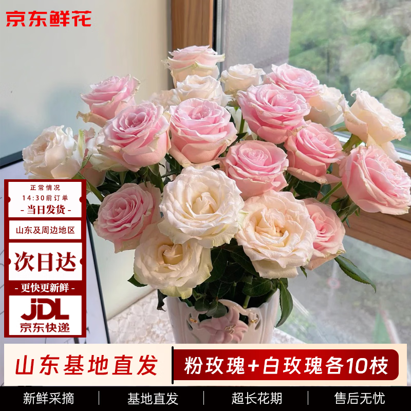 京东鲜花【粉色加白色】玫瑰各10枝如意基地鲜花插花生活礼品花束源头直发