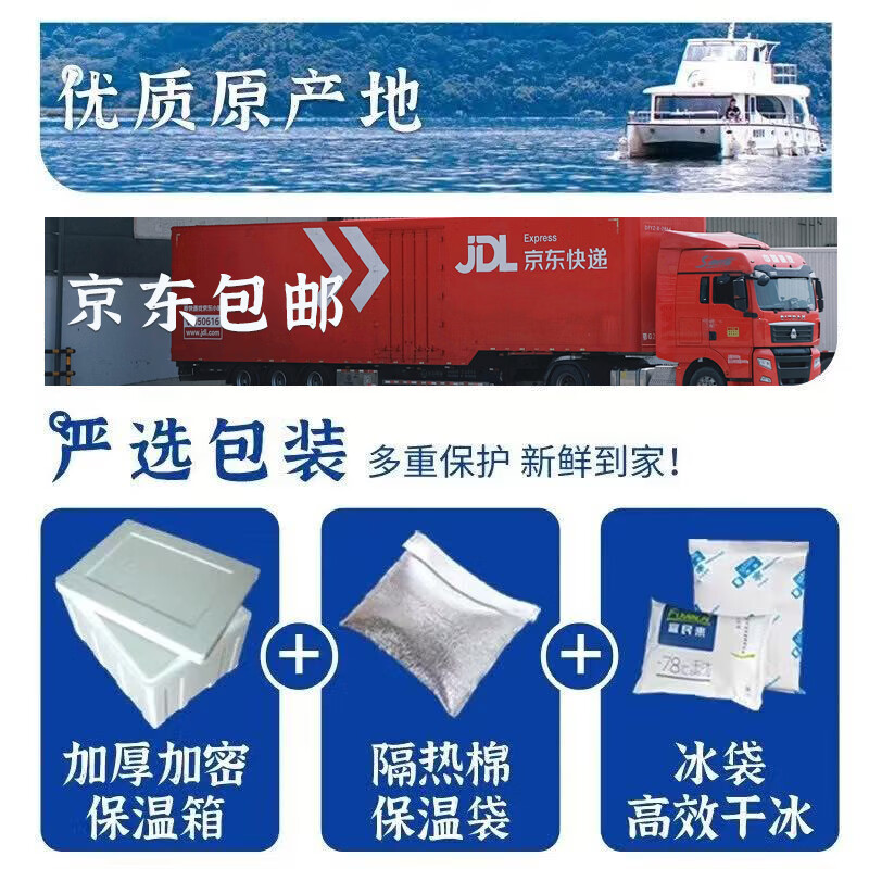 龙味福 虾南美厄瓜多尔白虾特大虾青虾海捕基围对虾冰虾冻虾海鲜水产 【大号无冰】15-18cm 3斤(净重)  【无冰】单只冻