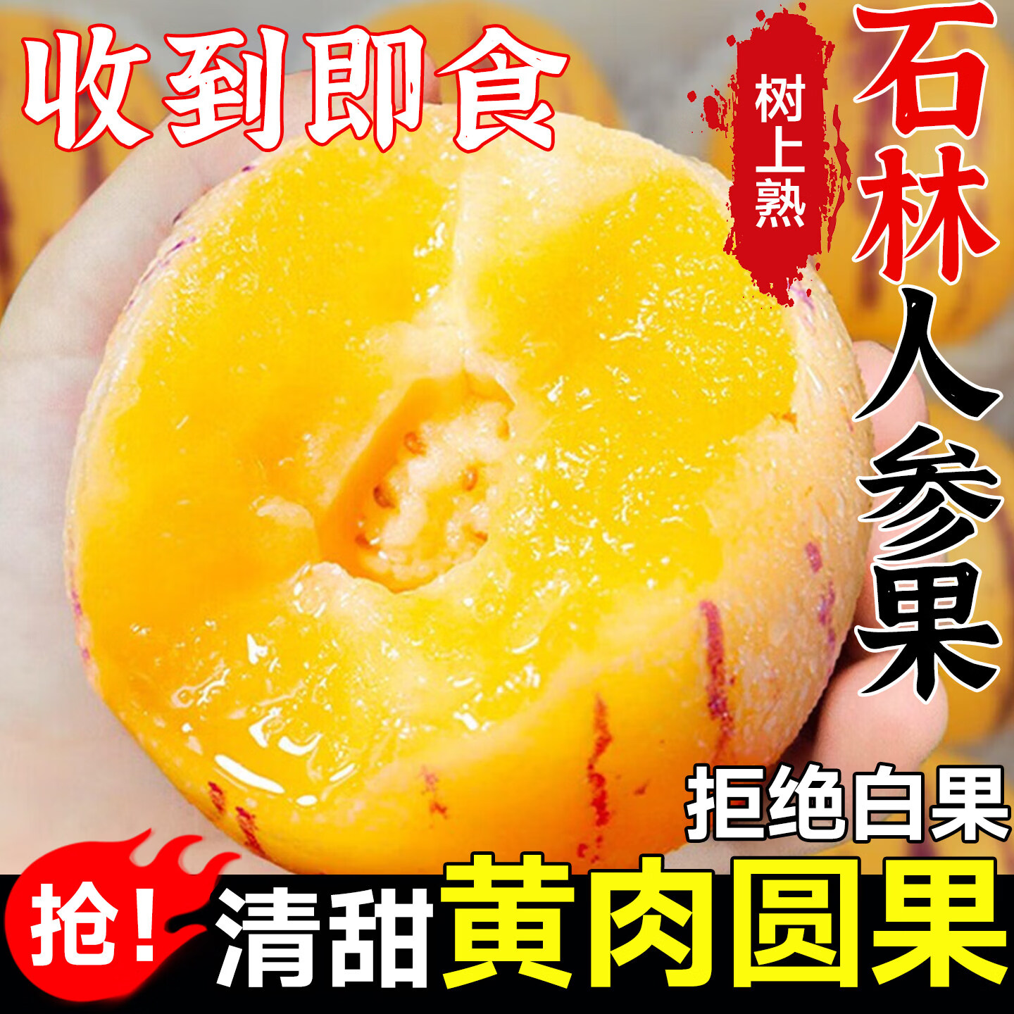 ������ �����˲ι� 5����ѡװ ����50-70g ����4.5�� 16Ԫ