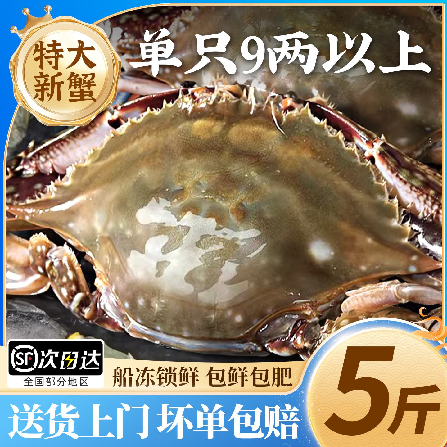 梭子蟹鲜活特大野生舟山大螃蟹海鲜新鲜冷冻海蟹水产飞蟹白蟹顺丰 9两以上/只 【净重5斤 舟山直发 坏单包赔】