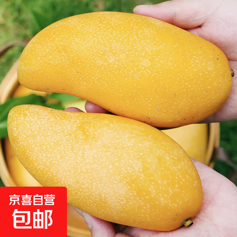 単果500g 19.9元，海南唫煌芒果净4.5斤 19.9元 - 折送网