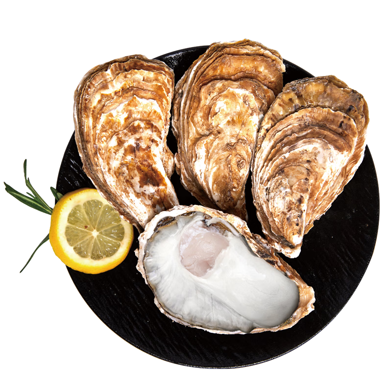 ���ڲ������ʾ��� �ʻ����3XL ����5�� 13-18ֻ �ʻ�� ���ʺ��� Դͷֱ�� 209.5Ԫ��5��(��41.9Ԫ/��)