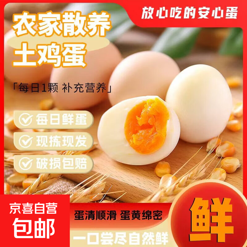 京喜加【试用】山林自养鲜鸡蛋慢养谷饲现捡新鲜生鲜鸡蛋单枚40g-45g 现捡新鲜鲜鸡蛋10枚