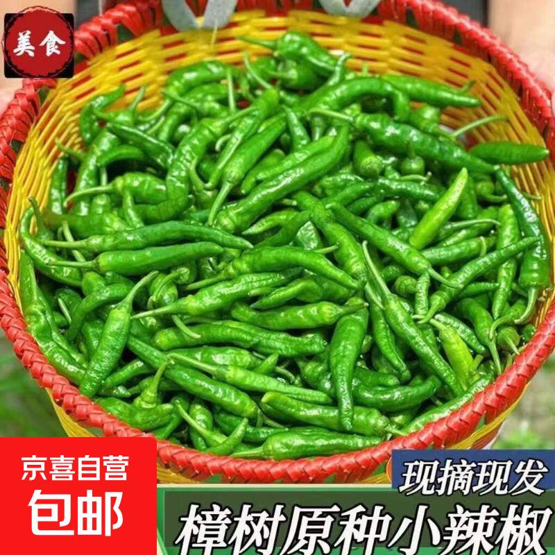 湖南樟树现摘新鲜薄皮小青椒超市品质生鲜蔬菜辣椒 净重1斤1人一餐炫完