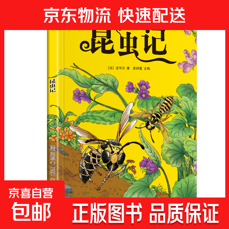 昆虫记彩图注音版快乐读书吧老师指定课外读物阅读法布尔一二三年级下册故事书童书小学儿童文学 昆虫记（专享价）