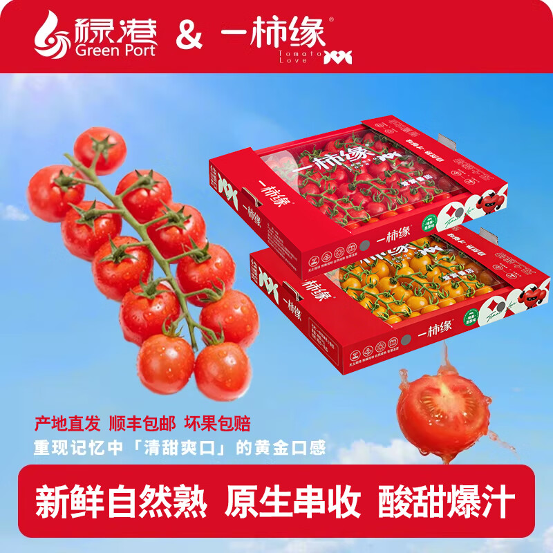 一柿缘串番茄串收樱桃小番茄西红柿新鲜自然熟老味道孕妇生吃柿子 顺丰 精品樱桃串番茄 黄*1箱 1kg 礼盒装