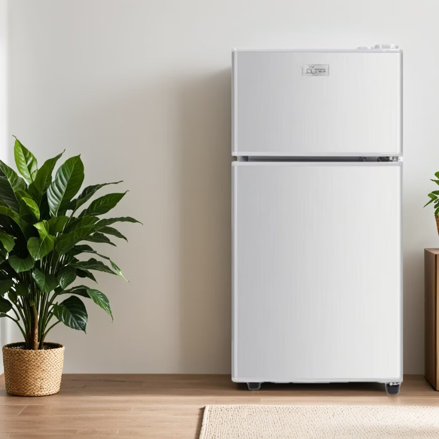 小鸭30升 小型家用 冷藏冷冻 租房宿舍 双门电冰箱家电 一级节能省电 低噪搁架 净味 银色电器冰箱