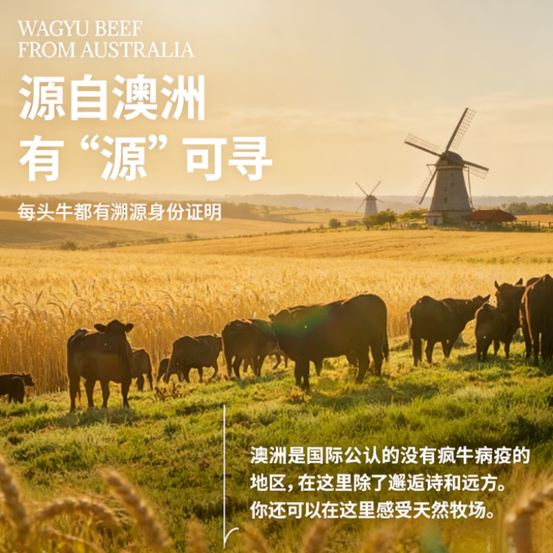 农夫好牛原切牛排澳洲进口西冷眼肉雪花牛排低脂草饲牛肉1200g 儿童牛扒 澳洲眼肉 1200g/8片