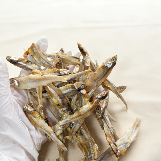 顶吉渔湛江小鱼干淡晒鱼干海鲜特产干货鱼干咸鱼小鱼干小公鱼仔渔民自晒 【淡晒足干海燕鱼干】半斤装