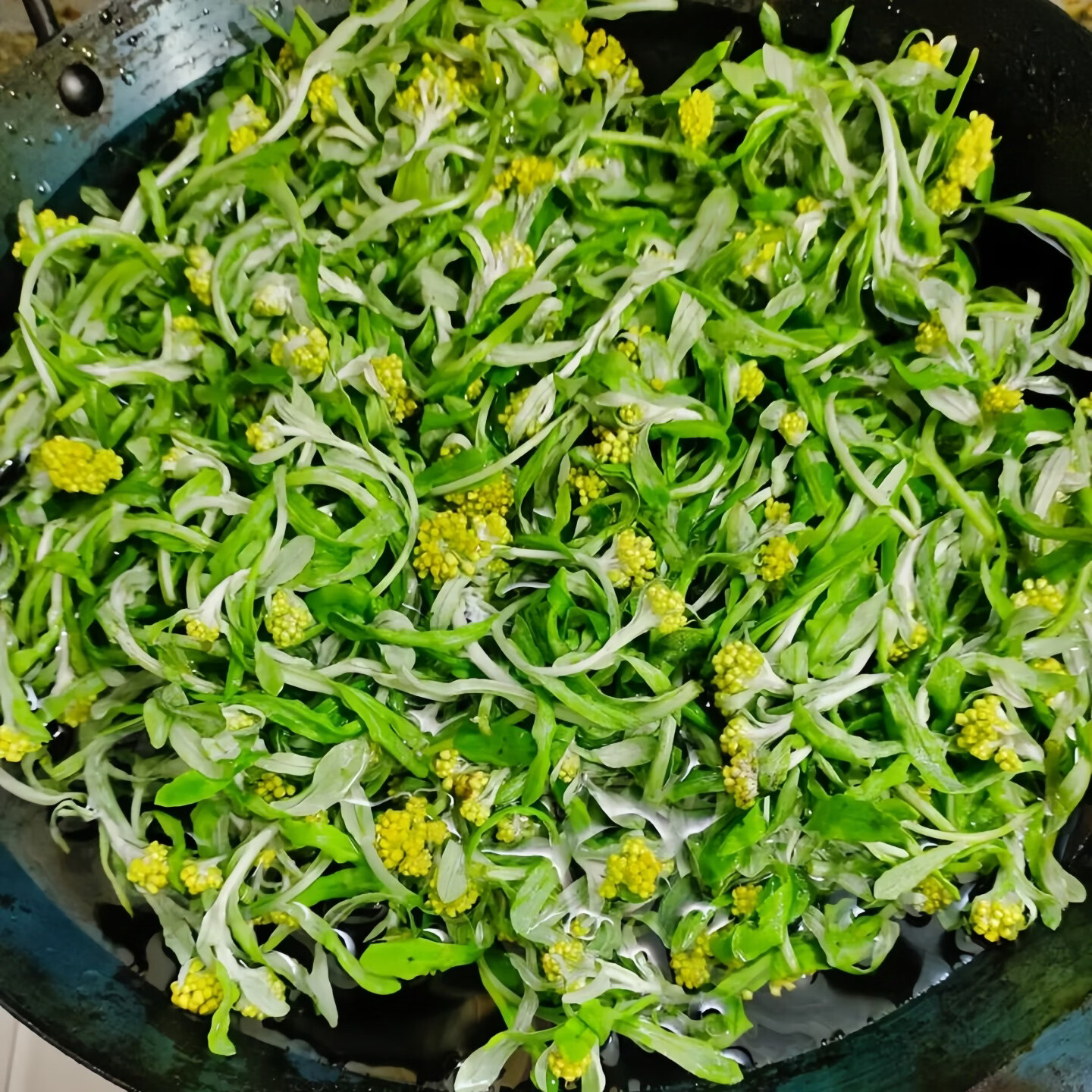 炎之梦®湖南鼠曲草清明菜鼠耳草黄花白艾田艾草糍粑青团原料新鲜现摘 白艾(鼠曲草) 500g