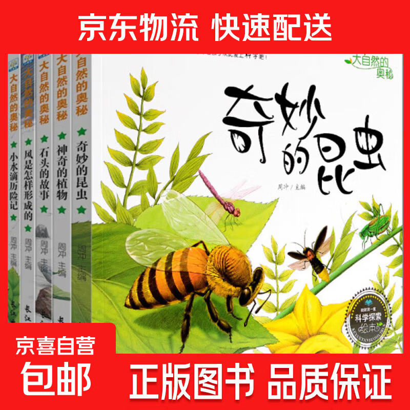 全套5册正版童书奇妙的昆虫绘本漫画书儿童书籍睡前故事书幼儿百 大自然的奥秘全5册 无规格