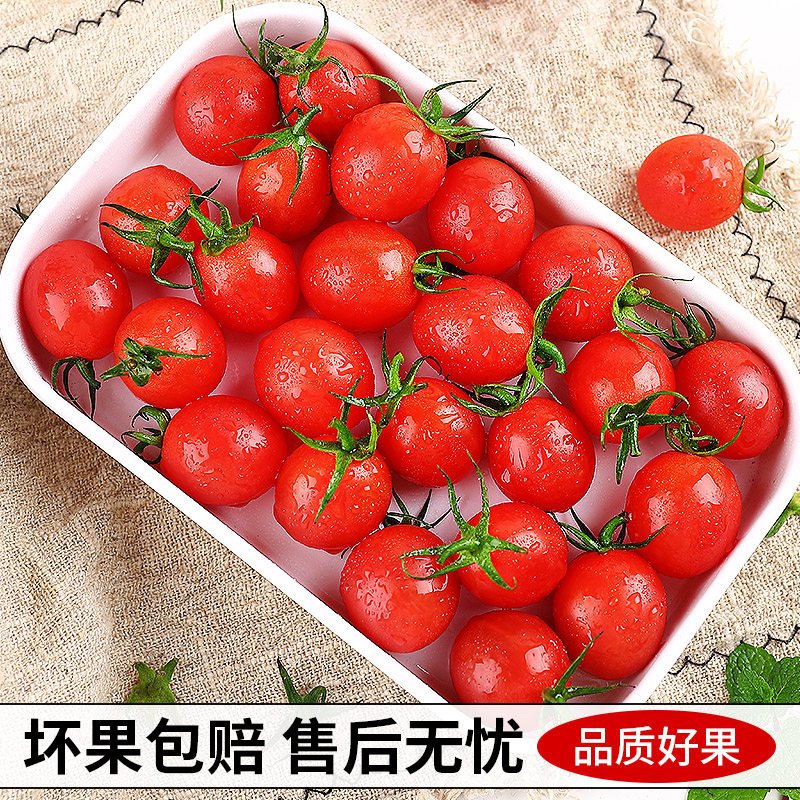 �ٽ��ۣ���ӭʥŮ��С���� 5�� ��ѡ�� ����8g+ ��4.5�� ��ժ�ַ� 12.9Ԫ