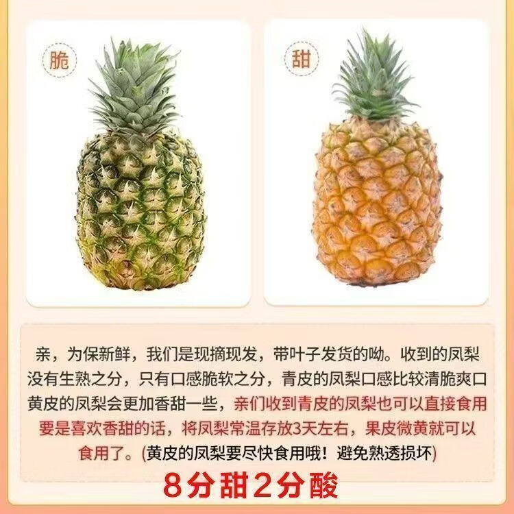庾丰云南西双版纳黑钻凤梨 当季热带新鲜水果 5斤装 约2-3粒 净重4.5斤
