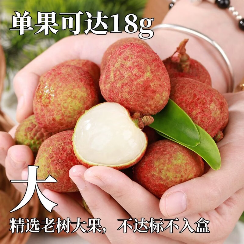 三萌果蔬 海南荔枝新鲜【JD顺丰空运-多地次日达】桂花香荔枝水果礼盒送礼 【80%人选·精选果】丨单果16g+ 3斤装【超值推荐-超划算】净2.5斤