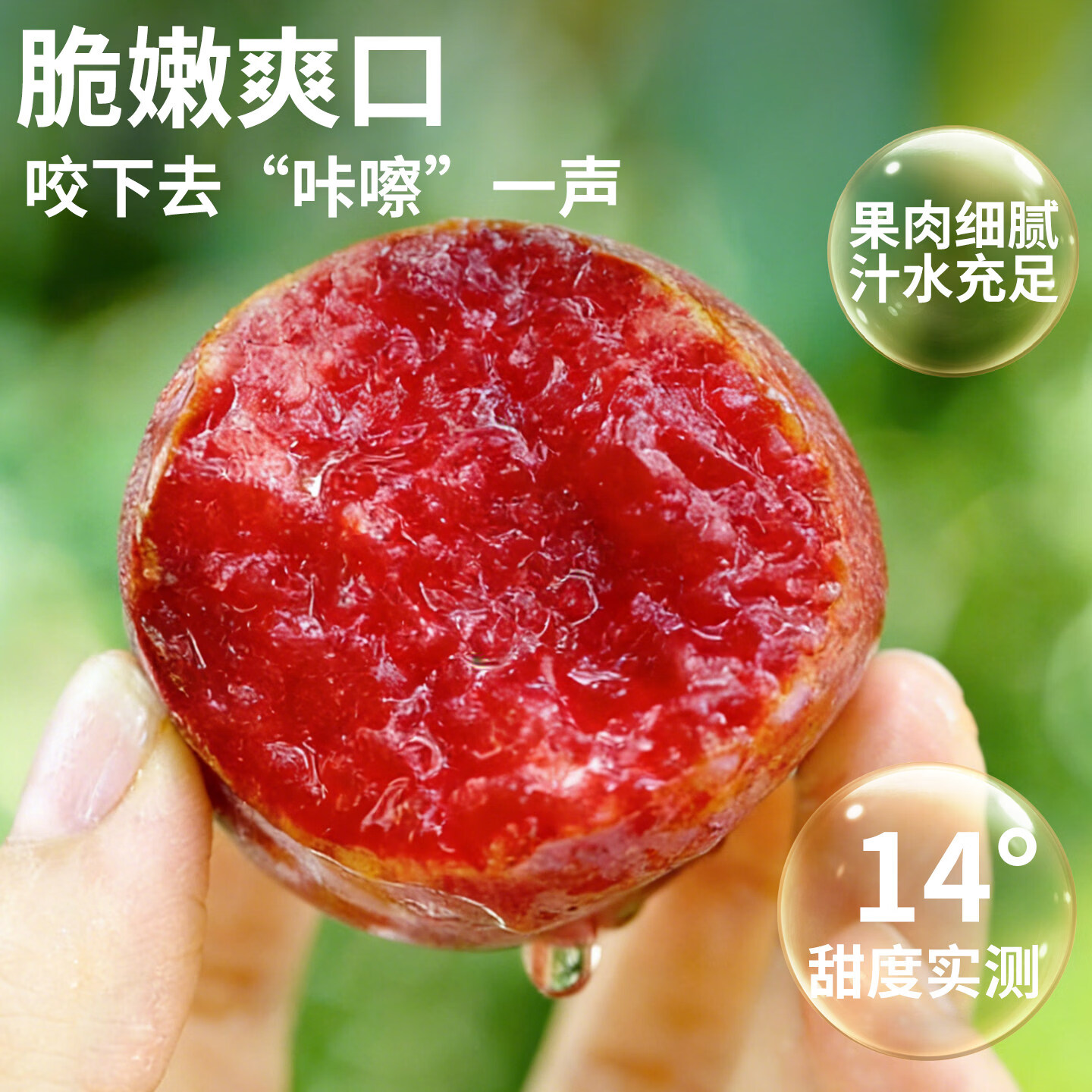 顶掌柜顺丰现货 5斤红心三华李新鲜李子水果当季樱脆甜桃孕妇整箱包邮大 2斤 70-90g 【顺丰/京东】商超大果丨肉厚核小