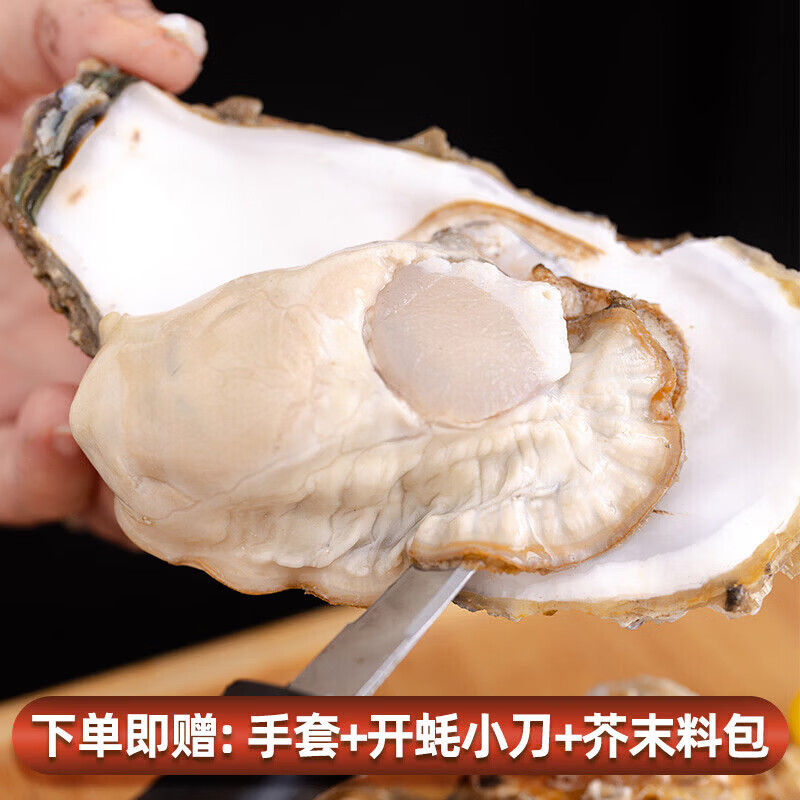 鲜活乳山生蚝新鲜正宗乳山牡蛎海蛎鲜活牡蛎海鲜贝类净重5斤/10斤 3XL中蚝(7-15只)净重5斤