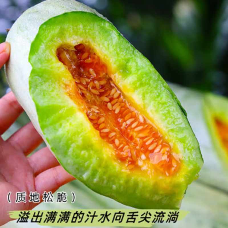 果食鲜丰云南羊角蜜甜瓜香瓜应季新鲜水果源头直发 净重4.5-5斤