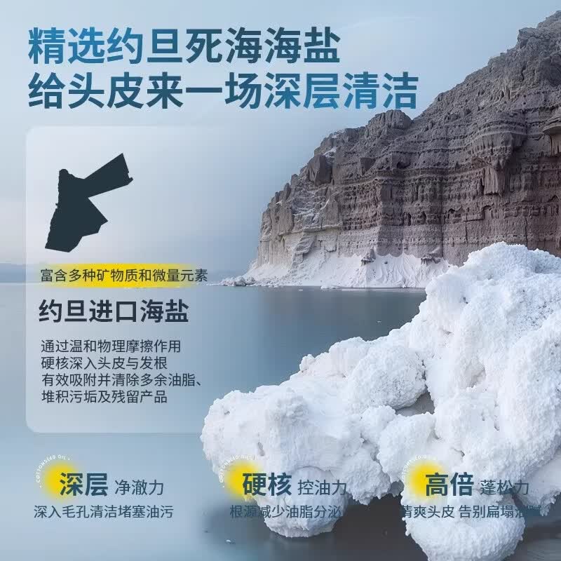 Nebe海盐控油洗发水控油蓬松去屑止痒柔顺改善毛躁持久留香洗发水 控油香氛洗发水2瓶装