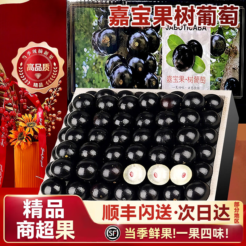 粤迎树葡萄嘉宝果【JD顺丰-多地次日达】新鲜稀有高端品种现摘现发 A+级精选果【爆甜】颗粒包装 2斤尝鲜装【当季尝鲜-较划算】净1.0斤