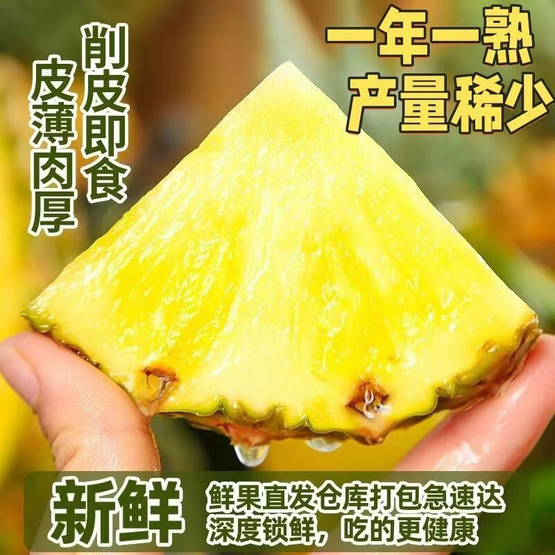 庾丰云南西双版纳黑钻凤梨 当季热带新鲜水果 5斤装 约2-3粒 净重4.5斤