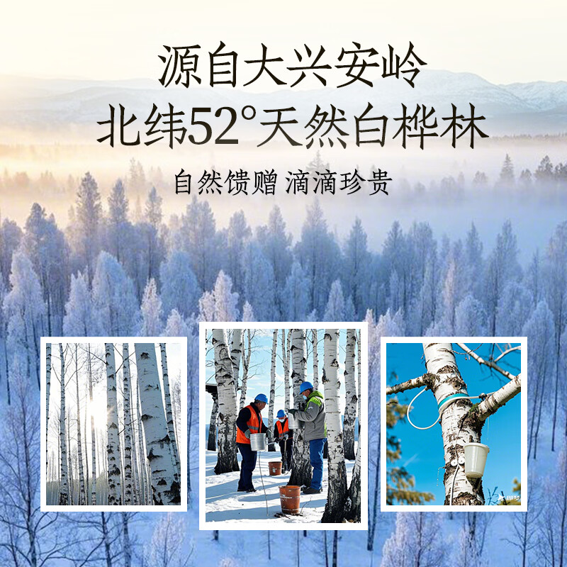 轻上（LIGHT UPPER）100%椰子水含天然电解质椰水非浓缩还原饮料 白桦树乌龙茶600ml*6瓶