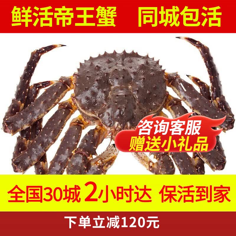 喵和渔【活鲜】鲜活帝王蟹俄罗斯整只帝皇蟹大螃蟹阿拉斯加活螃蟹 3.6-4.0斤/只【净重】闪送保活