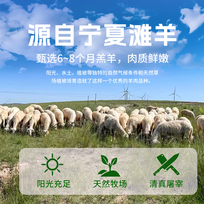 郁羊童宁夏滩羊肉 生鲜 原切单肋法式羊排羊肉串 战斧肋排 西餐烧烤食材 【宁夏滩羊】法式羊排12支