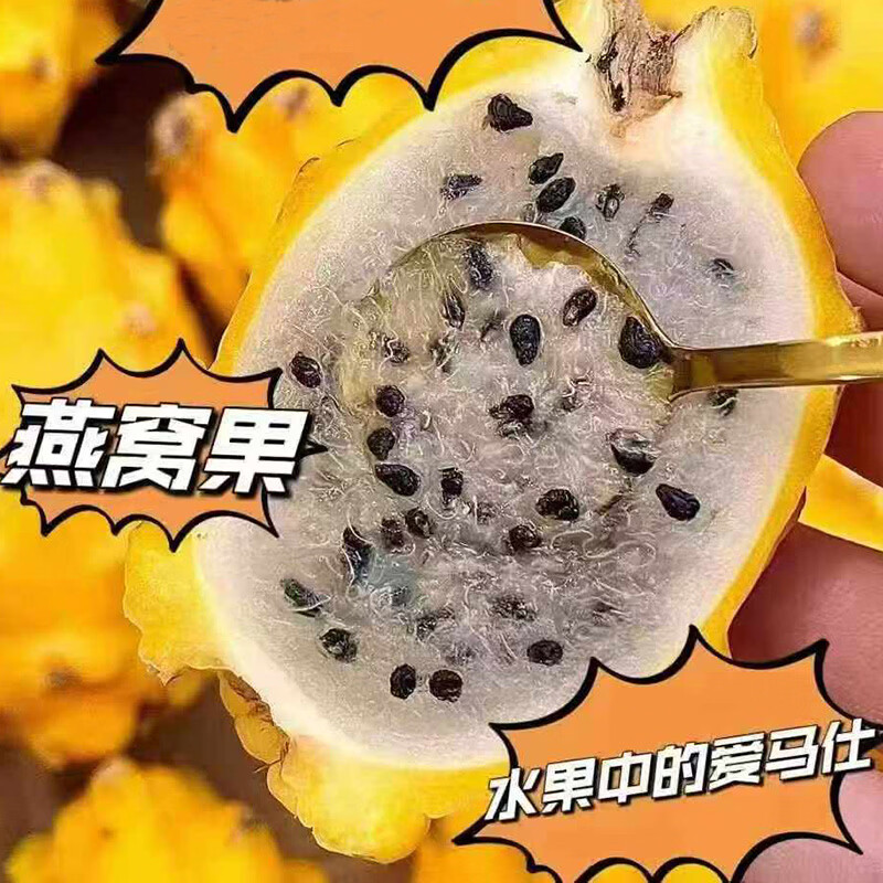 海南燕窝果 清甜爽口 果肉嫩滑 高端水果礼盒装 燕窝果5斤果王9个果礼盒装（5-6两）