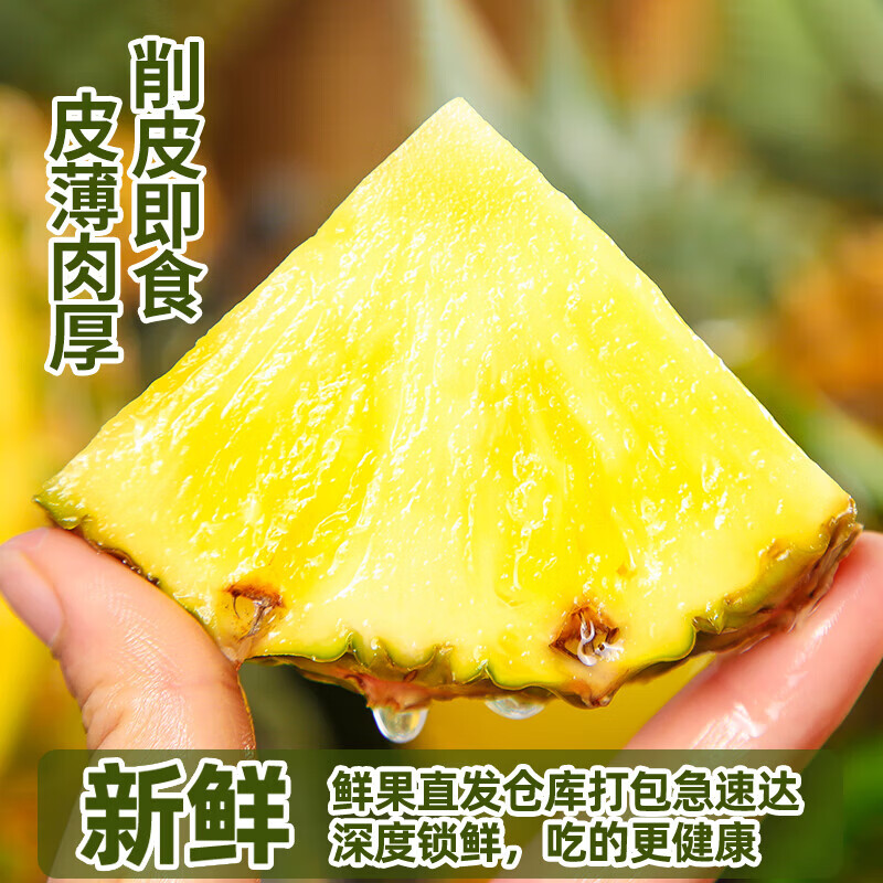 元珍鲜诚 云南黑钻凤梨新鲜水果整箱 当季菠萝  5斤装（净重4.5斤）约2-3个果