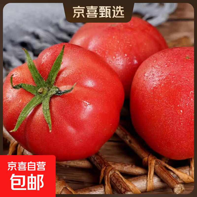 沙瓤西红柿自然成熟生吃沙瓤水果番茄新鲜当季蔬菜生鲜 山东单果100克以上 5斤 净重