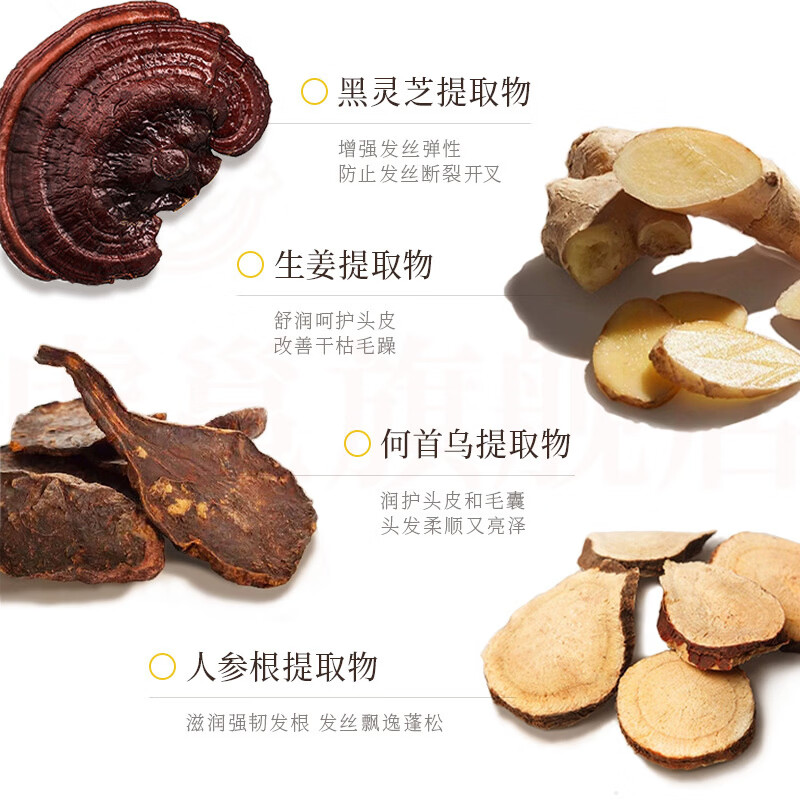 熏姿颜为肯植物去屑洗发水何首乌植萃去屑止痒控油修护烫染抚平毛躁干枯 5瓶 囤货装 官方直售